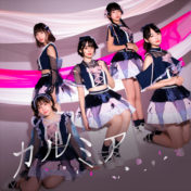 「カルミア」
