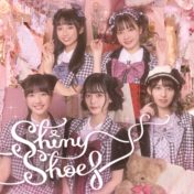 「ShinyShoes」